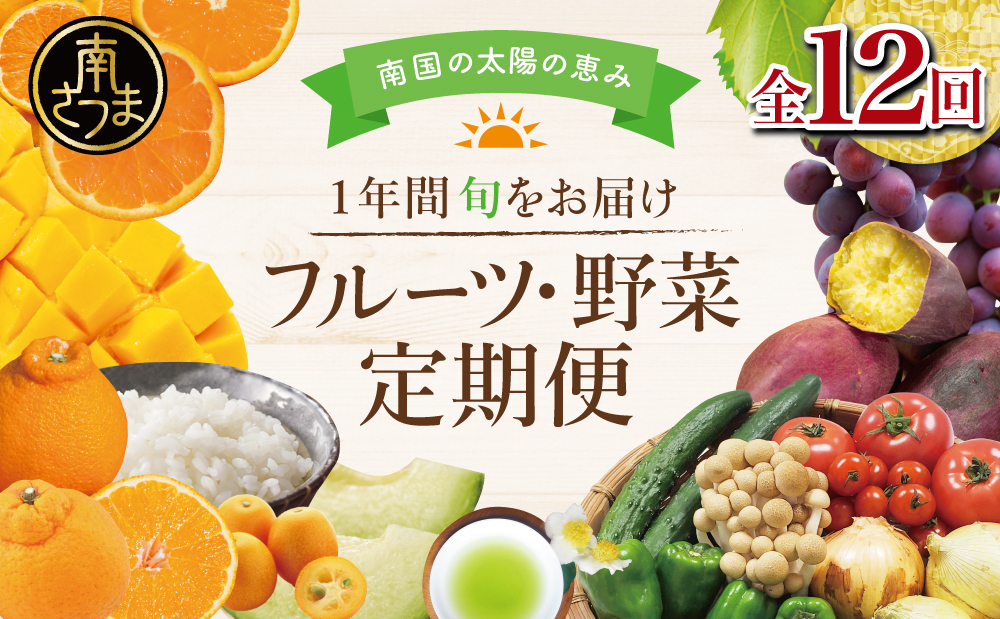 □【定期便】南国の恵み 旬のフルーツ・野菜定期便（全12回）