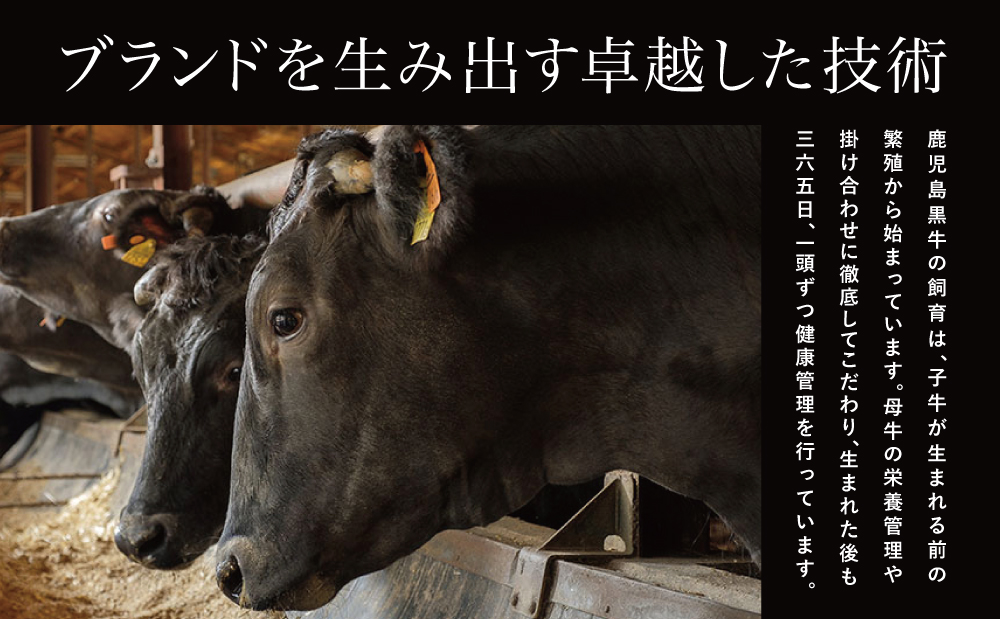 □【鹿児島県産】5等級 鹿児島黒牛ウデスライス900g