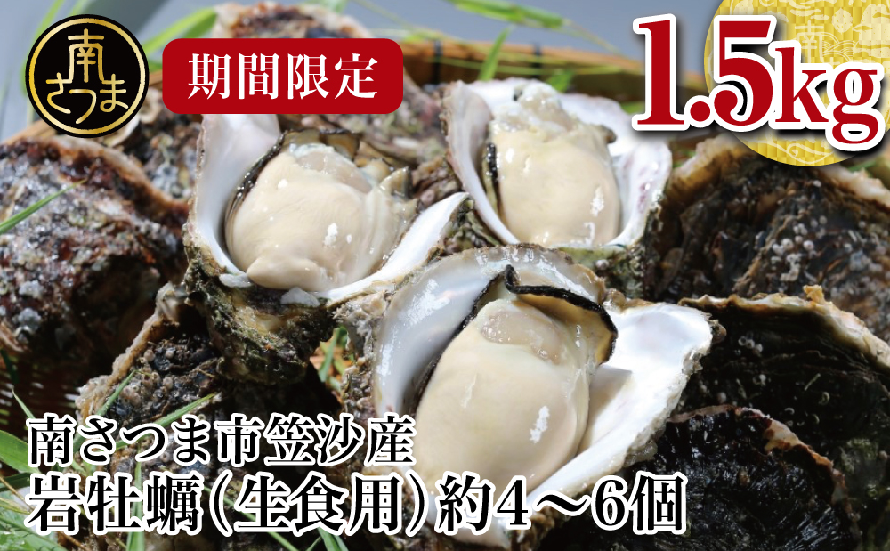 □【2022年7月発送開始】【南さつま市笠沙産】岩牡蠣（生食用）1.5kg　