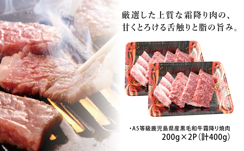 □【鹿児島県産】A5等級 黒毛和牛 霜降り焼肉用 計400g（200g×2P）